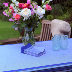 Kikoy Blue Napkins